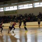 O Desporto Escolar enquanto oportunidade para passar valores. A jogadores, treinadores e pais.